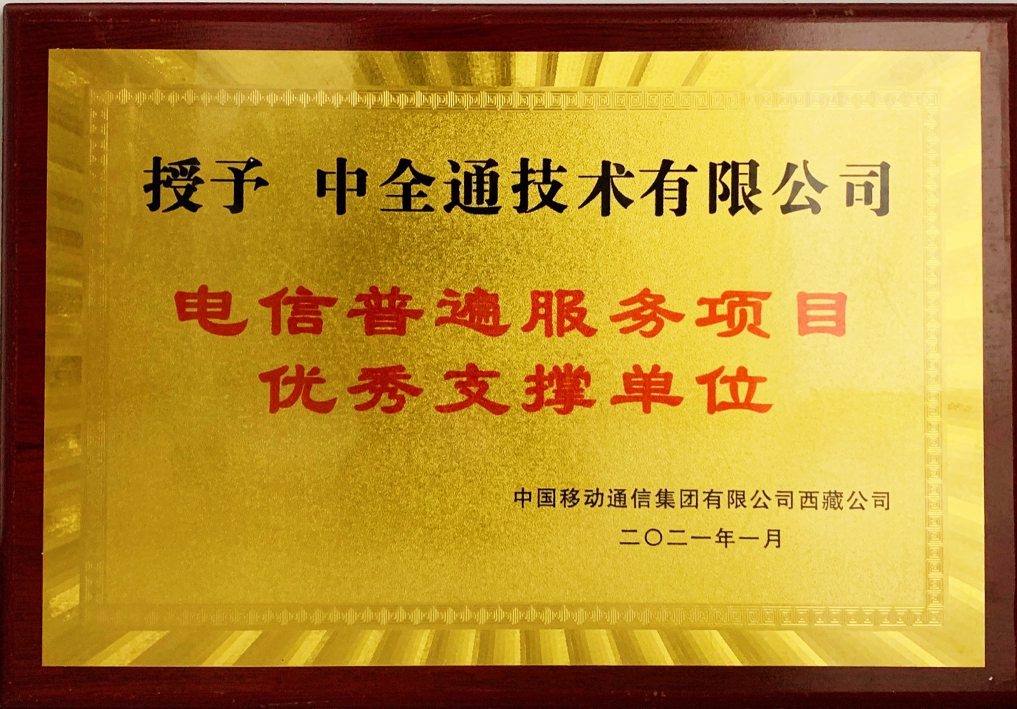 04 电信普遍服务项目优秀支撑单位 2021年1月.png