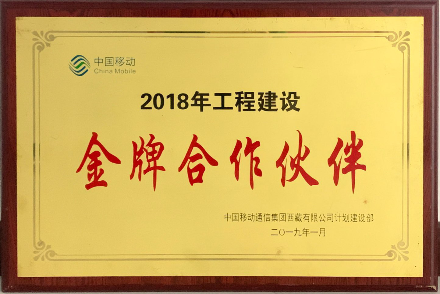 2018年工程建设金牌合作伙伴 2019年1月.jpg