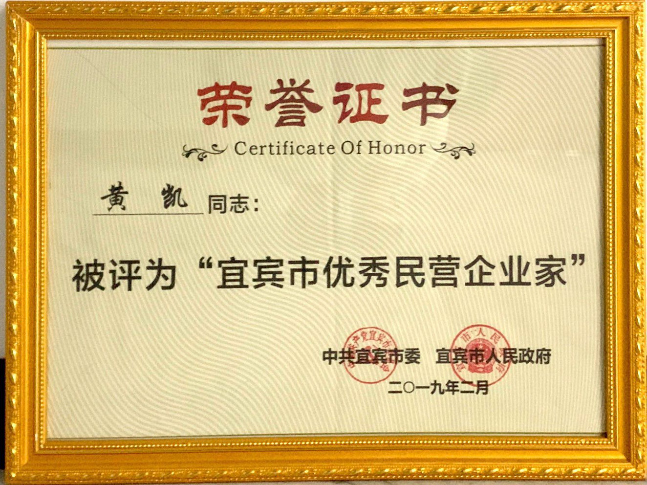 25 宜宾市优秀民营企业家（黄凯）2019年2月.jpg